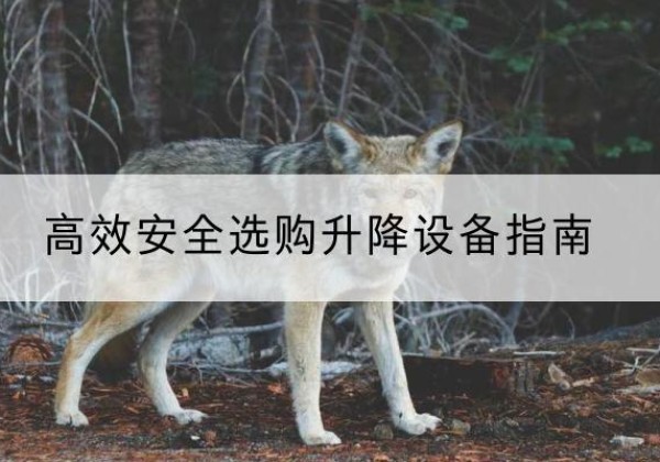 西华升降货梯厂家推荐-*安全选购升降设备指南