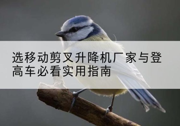 西华电动升降机厂家-选移动剪叉升降机厂家与登高车必看实用指南